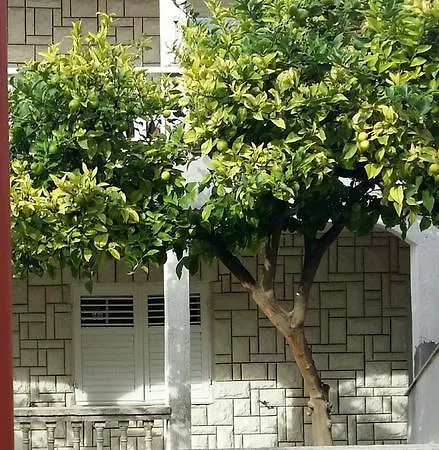 Apartment Pina *